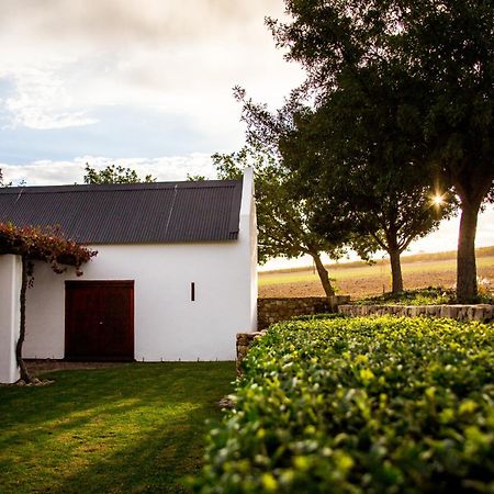Vineyard Cottage At Bosman Wines เวลลิงตัน ภายนอก รูปภาพ