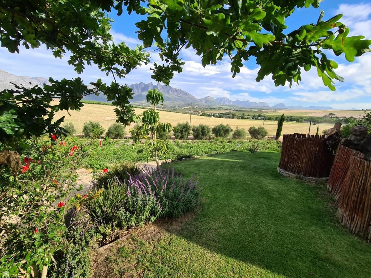 Vineyard Cottage At Bosman Wines เวลลิงตัน ภายนอก รูปภาพ