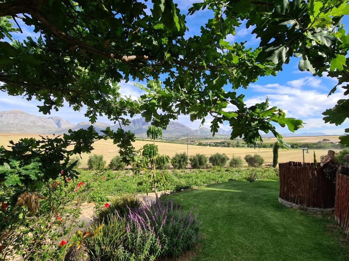 Vineyard Cottage At Bosman Wines เวลลิงตัน ภายนอก รูปภาพ