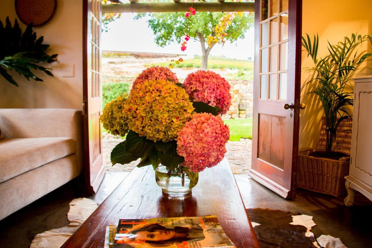 Vineyard Cottage At Bosman Wines เวลลิงตัน ภายนอก รูปภาพ
