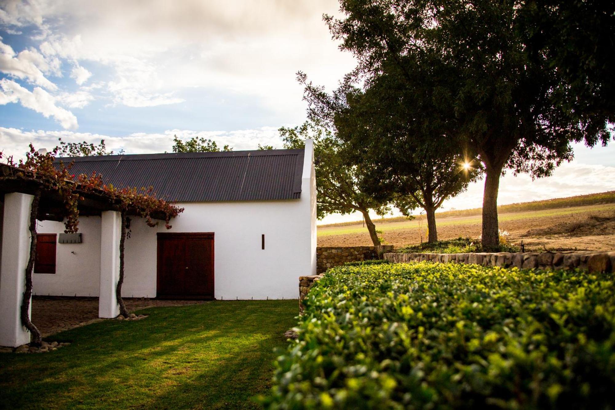 Vineyard Cottage At Bosman Wines เวลลิงตัน ภายนอก รูปภาพ