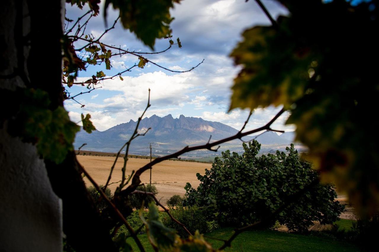 Vineyard Cottage At Bosman Wines เวลลิงตัน ภายนอก รูปภาพ