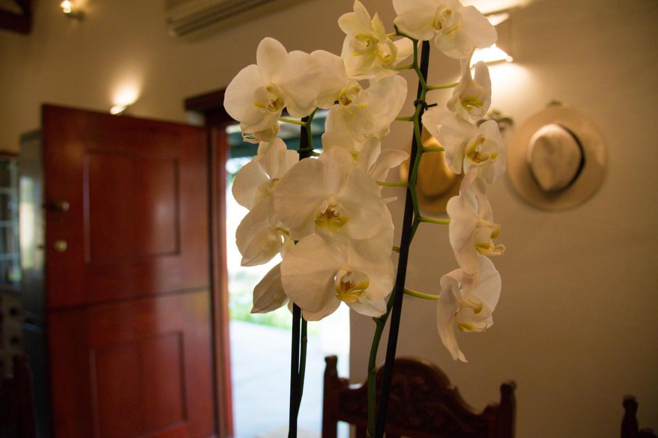 Vineyard Cottage At Bosman Wines เวลลิงตัน ภายนอก รูปภาพ