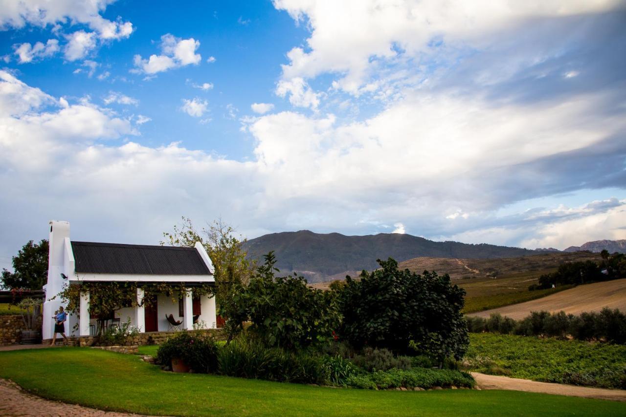 Vineyard Cottage At Bosman Wines เวลลิงตัน ภายนอก รูปภาพ